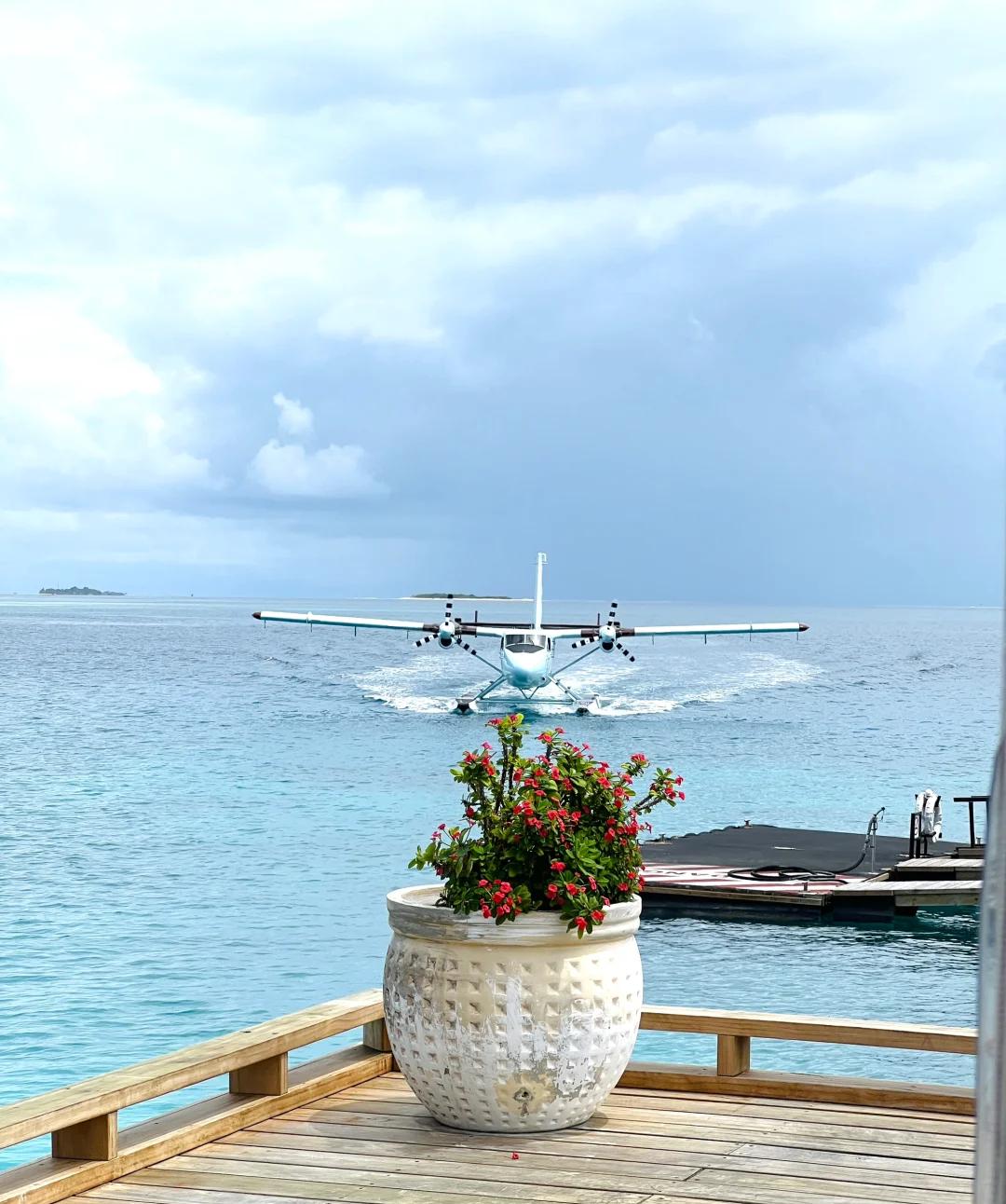 海岛瑜伽度假体验，运动与放松的完美结合的简单介绍