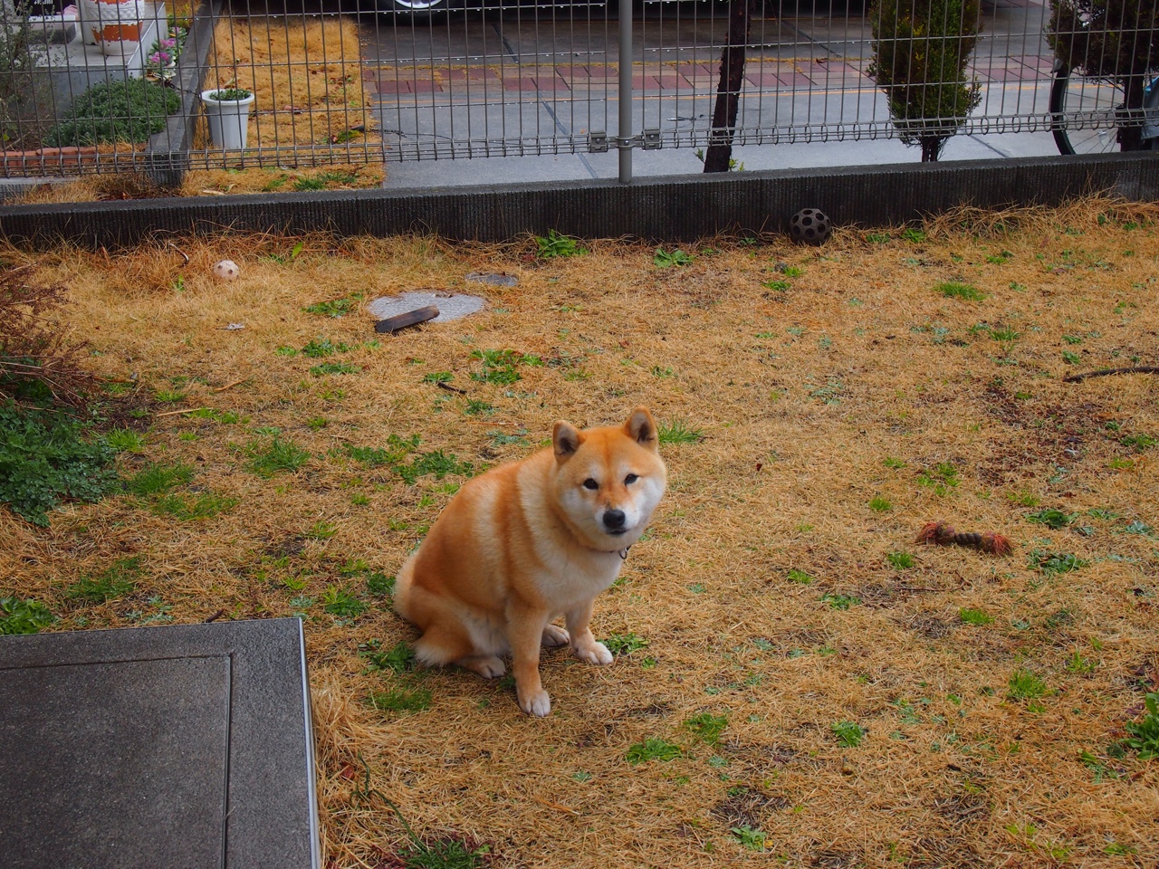 “英超豪门再遇挑战，冠军势在必得？”，英超落寞豪门