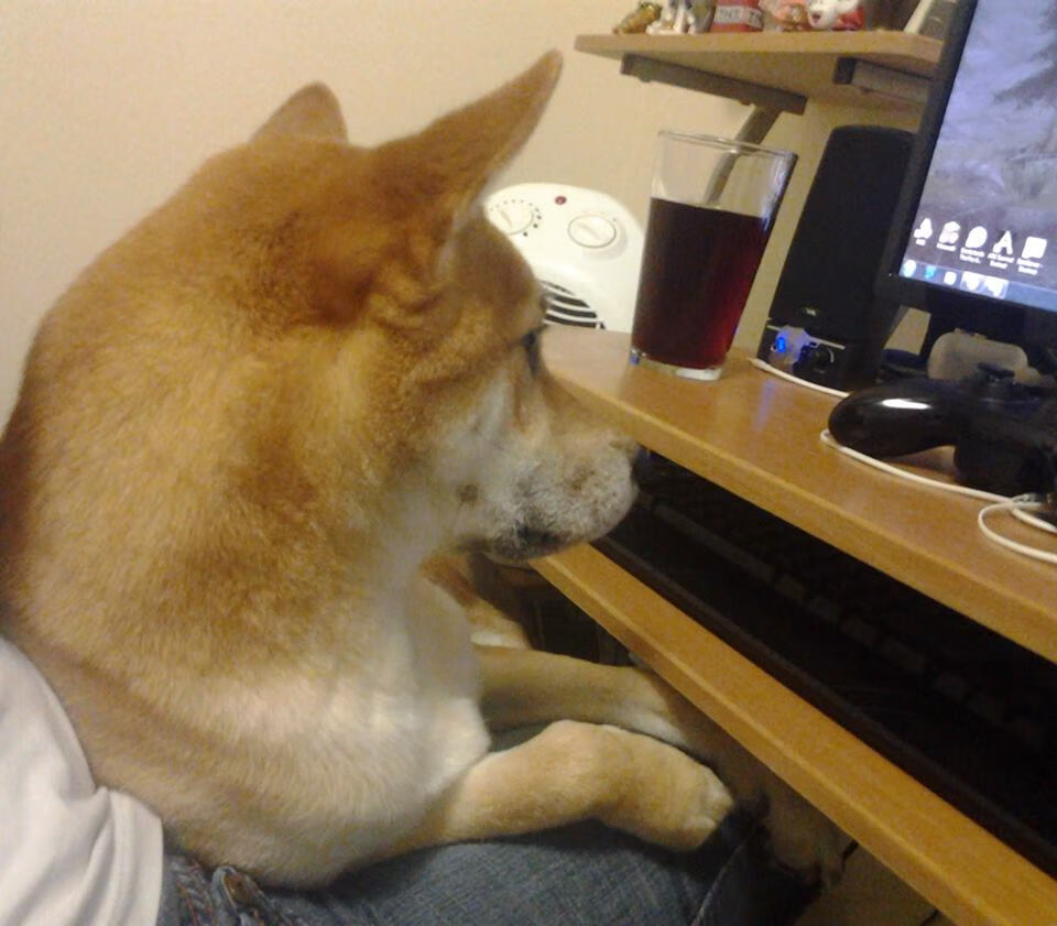 “英超豪门拼劲十足，点滴比赛决定命运”，英超十大豪门