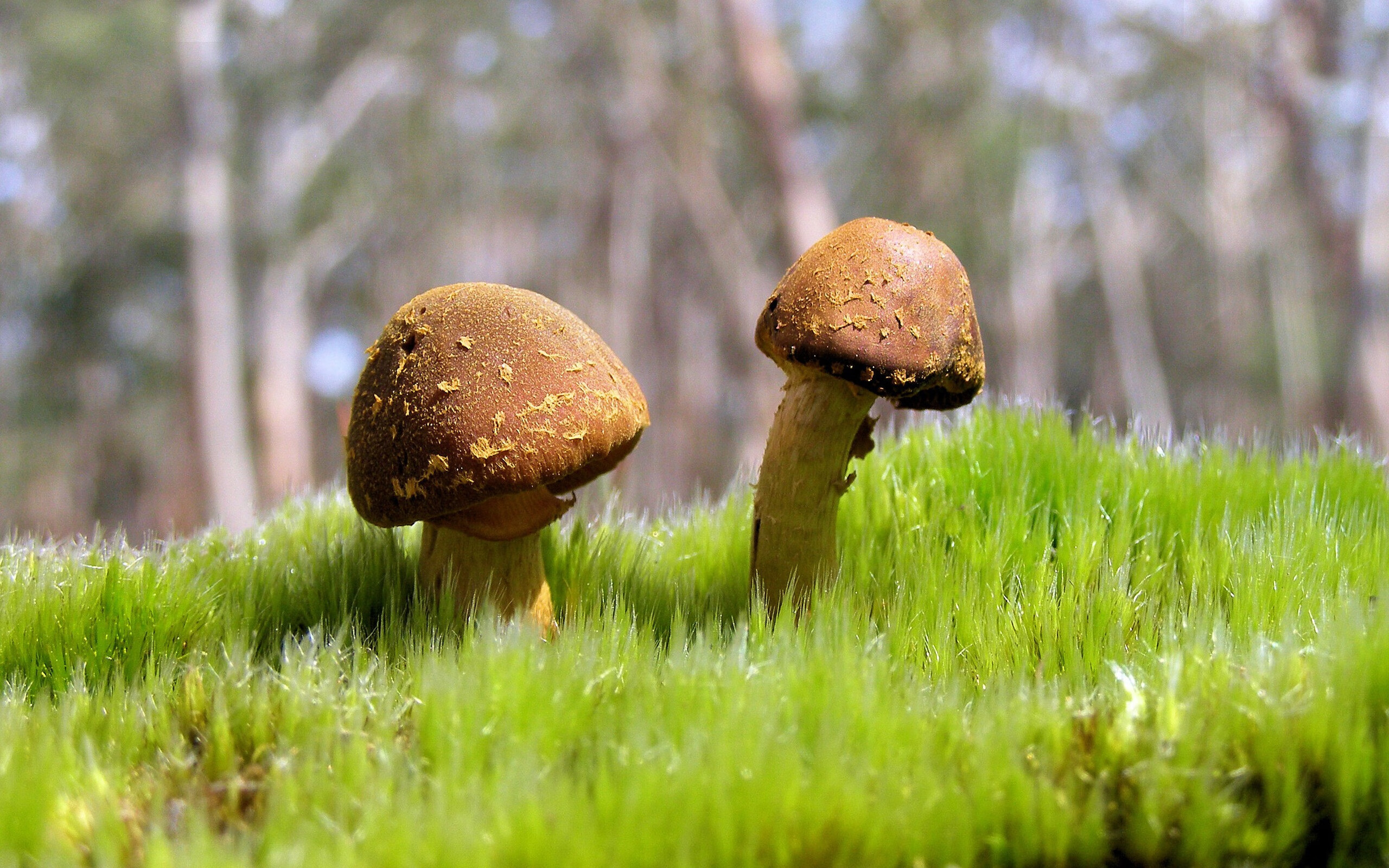 【赛事播报】直播全程解说，精彩不容错过，高清赛事直播