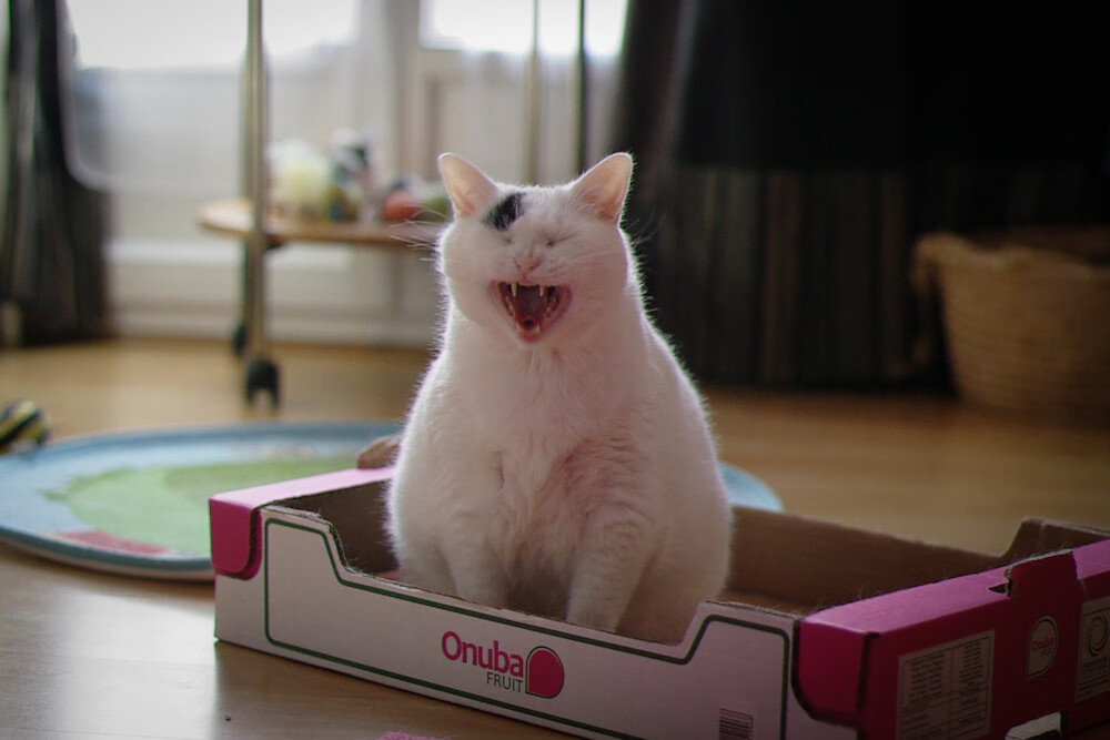 b体育直播-全民电竞狂欢节：线上线下双向互动，打造泛娱乐新体验，全民电竞活动持续多久