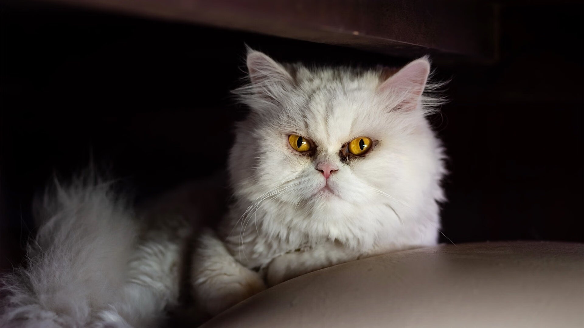 B体育(CHINA)官方网站-智能数据分析：提升比赛中的战略水平，智能化数据平台