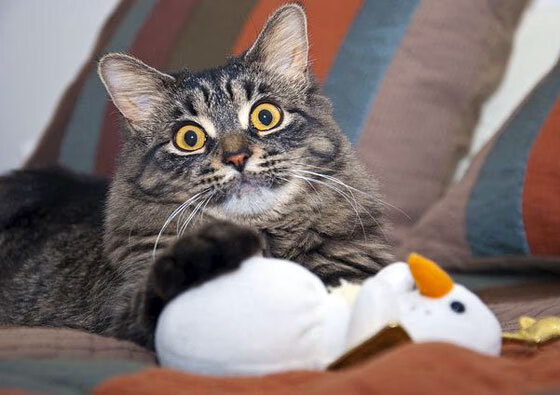 环球体育结合:NBA带动全球青少年篮球热潮,青少年篮球现状