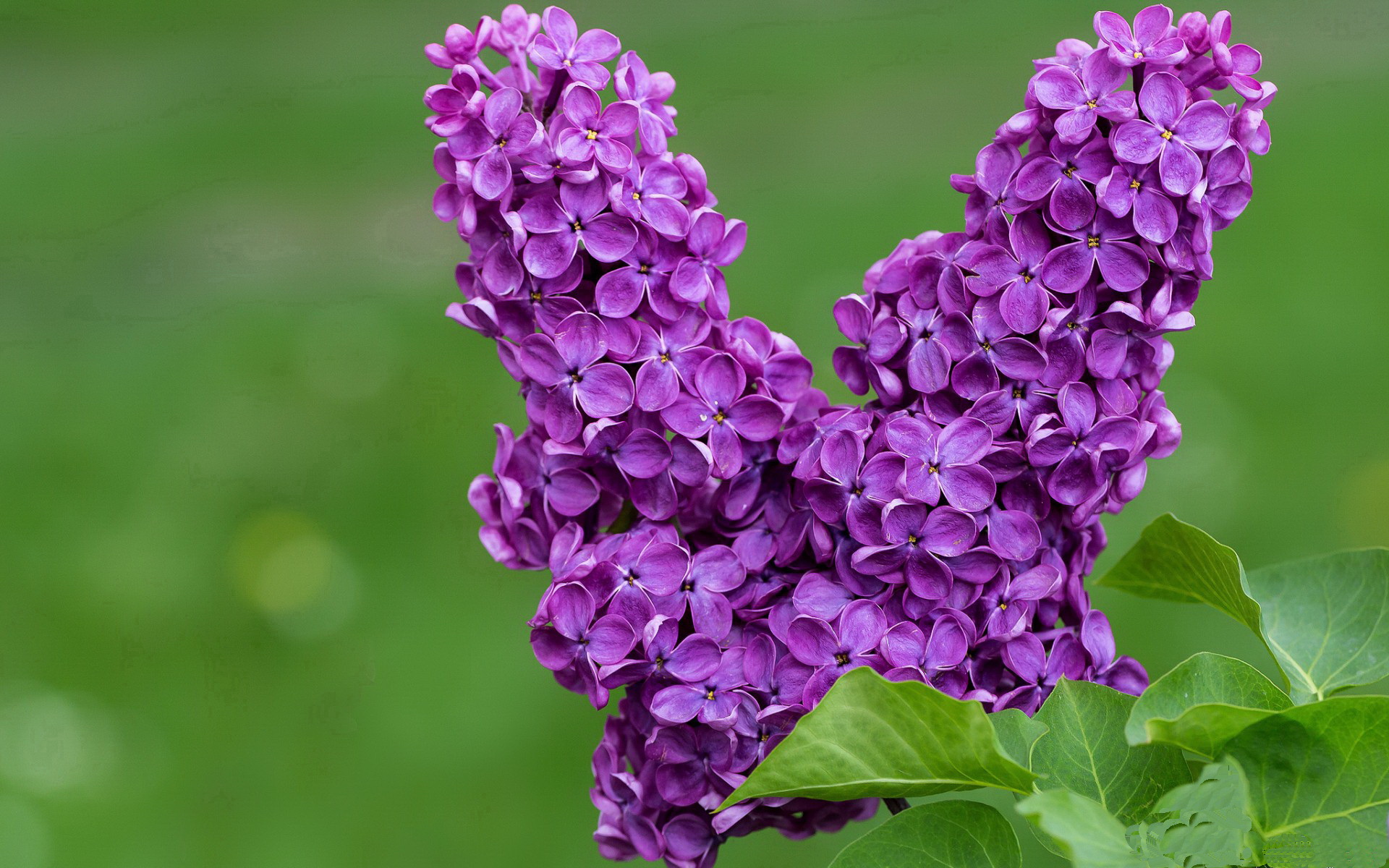 环球冲浪巡展,浪花里的青春舞台,冲浪世界系列赛