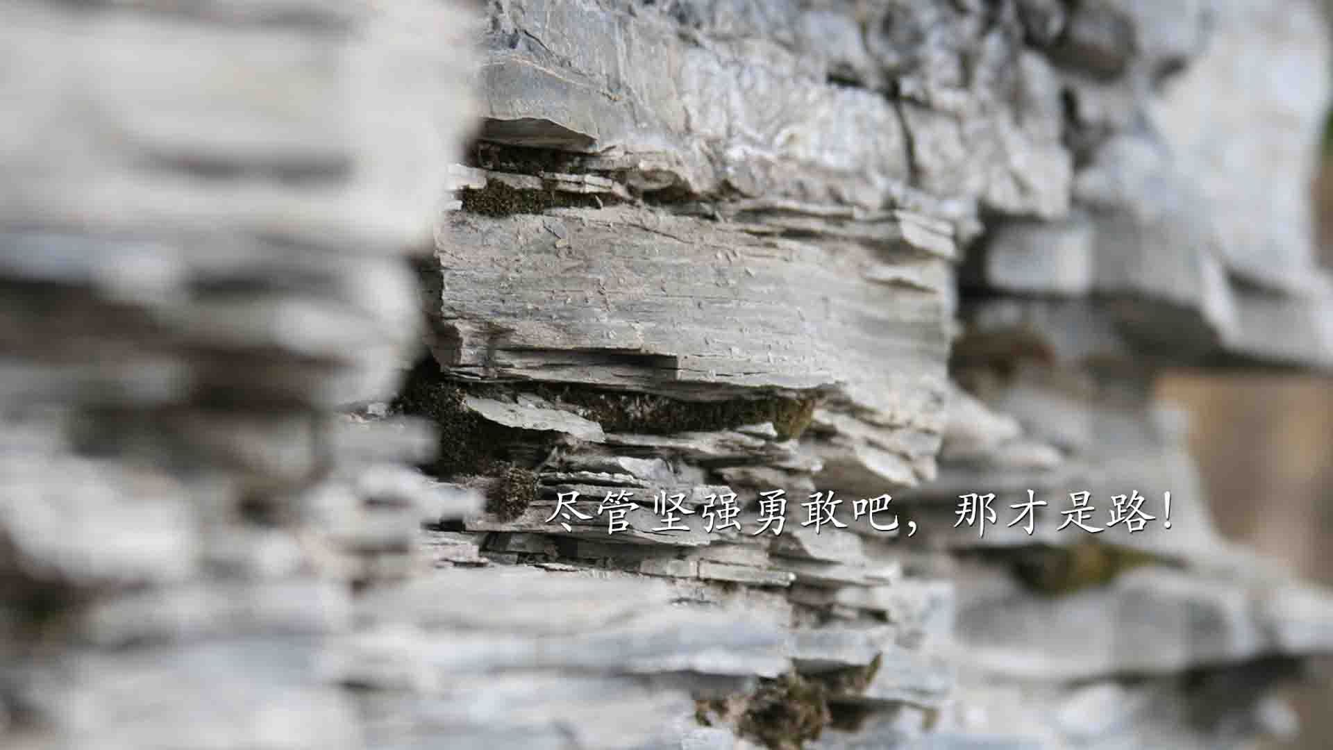 篮板争夺:北京队抢到48个篮板,赢得关键战役!,北京篮球队cba