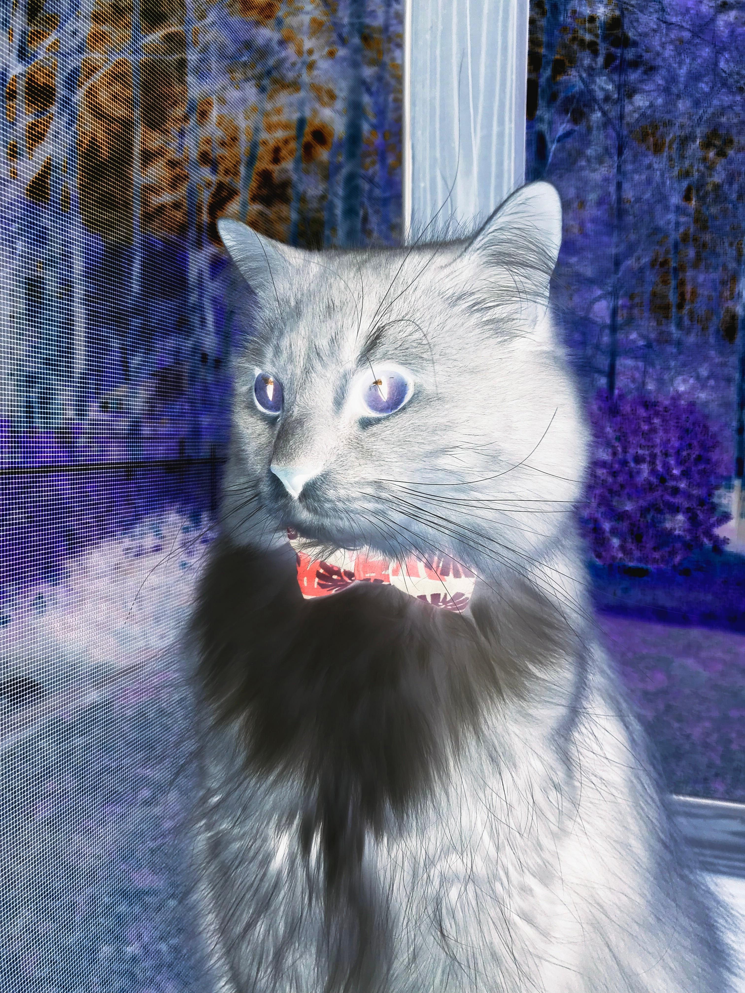 B体育(中国)官方网站-伊普斯维奇城中场核心：球队的发动机，伊普斯维奇高中