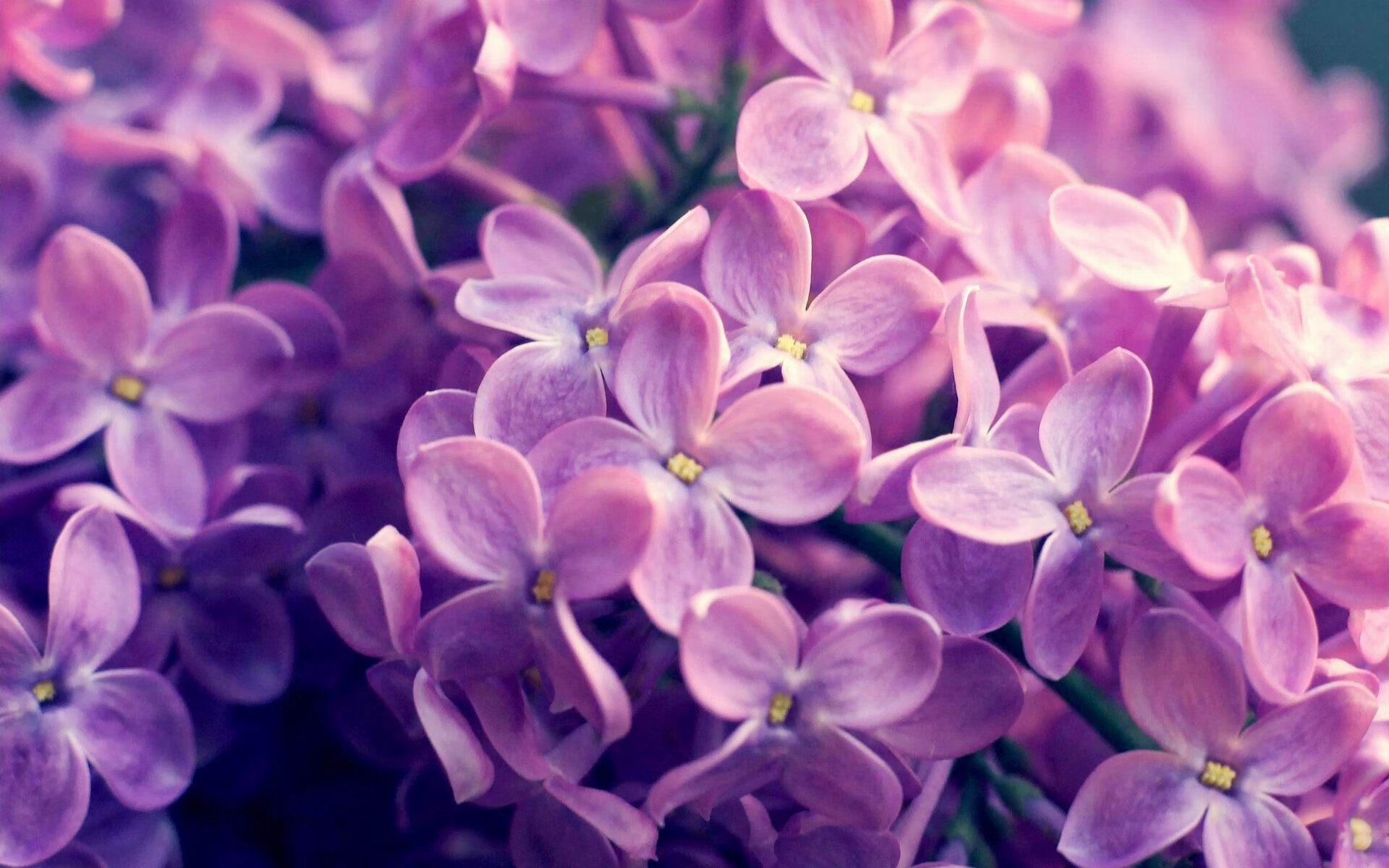 国足战绩是否受限于战术体系缺乏创新，国足技战术分析