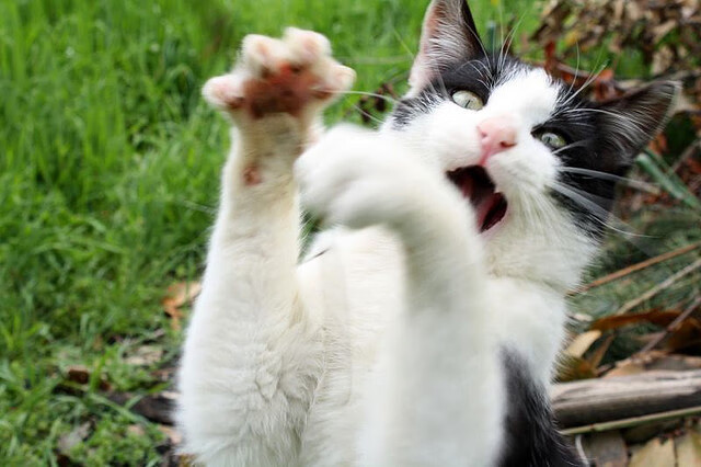 b体育(sports)官方网站-太阳核心三人组是否能共存，太阳核心层