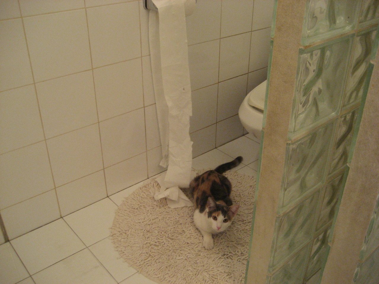 山西与上海交锋，谁能夺得胜利跃入前八，山西和上海的中间城市是哪