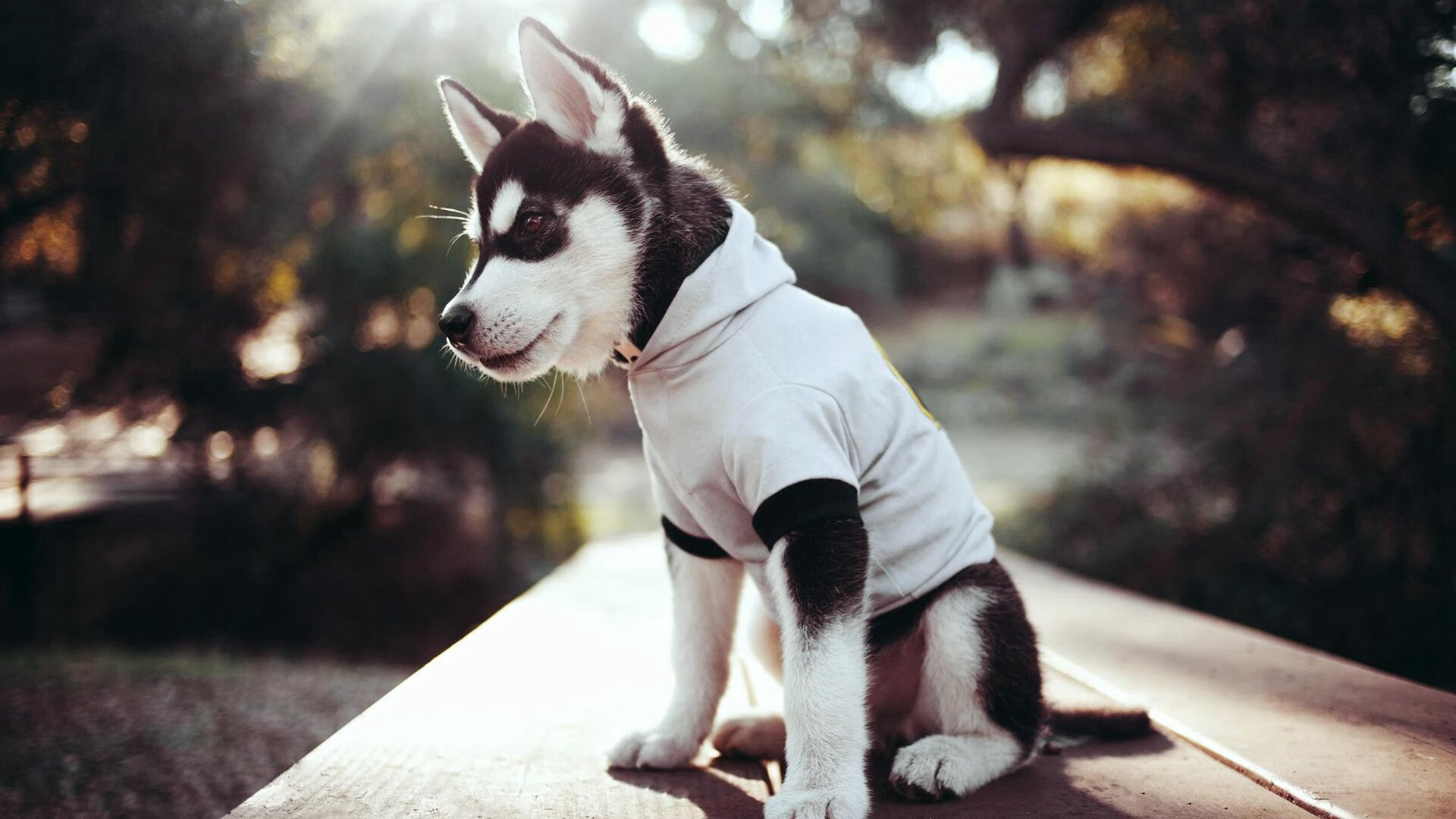 拜仁慕尼黑后防线表现不佳引起担忧,拜仁慕尼黑的阵型