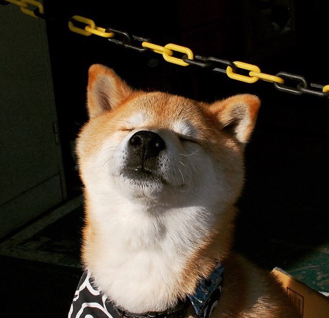 波兰战胜奥地利,生死战晋级欧国赛八强,波兰vs奥斯曼