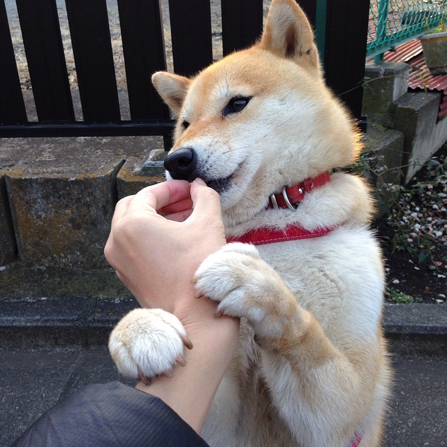 英格兰换帅，调整打法备战，英格兰阵容介绍