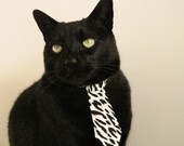 SPORTS-APP下载-英格兰无缘欧洲杯冠军，图赫尔接任国家队主帅，欧洲杯英格兰最后换人