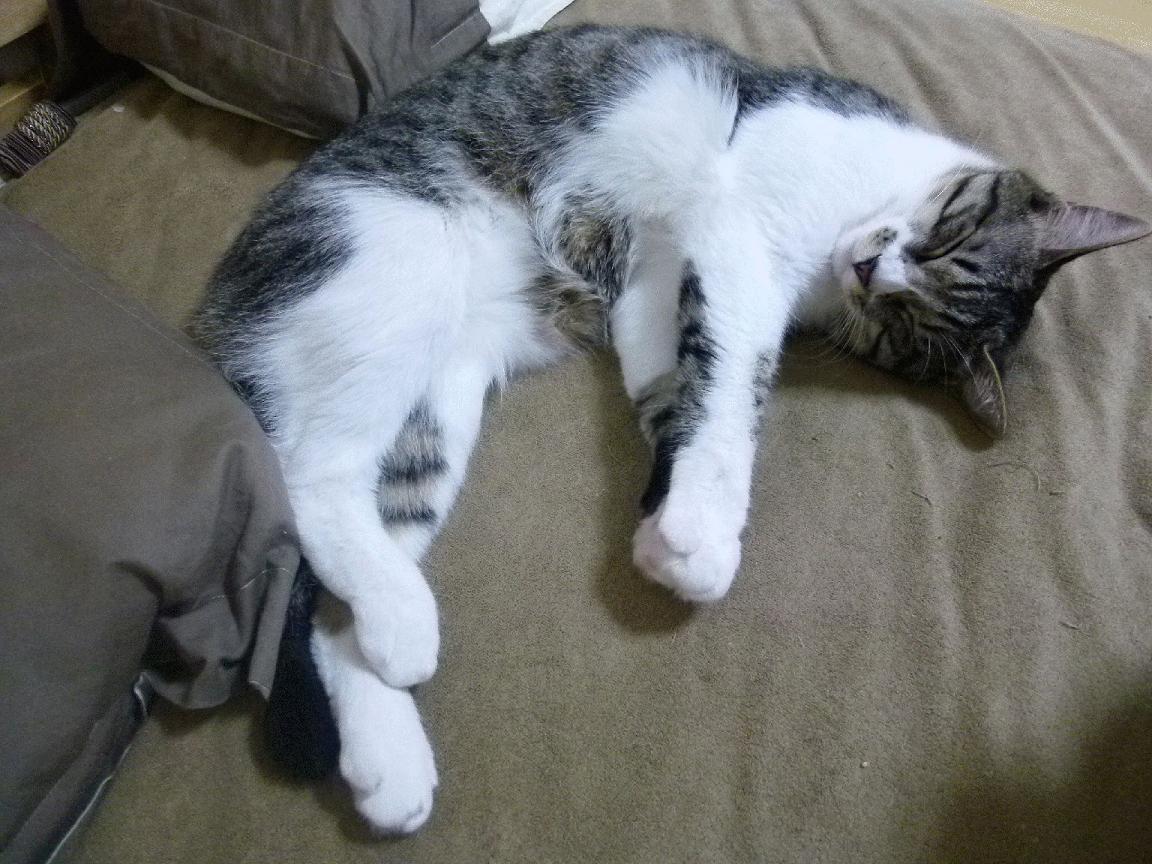 阿斯顿维拉客场平局，稳定发挥，球队保持不败状态，阿斯顿维拉引援