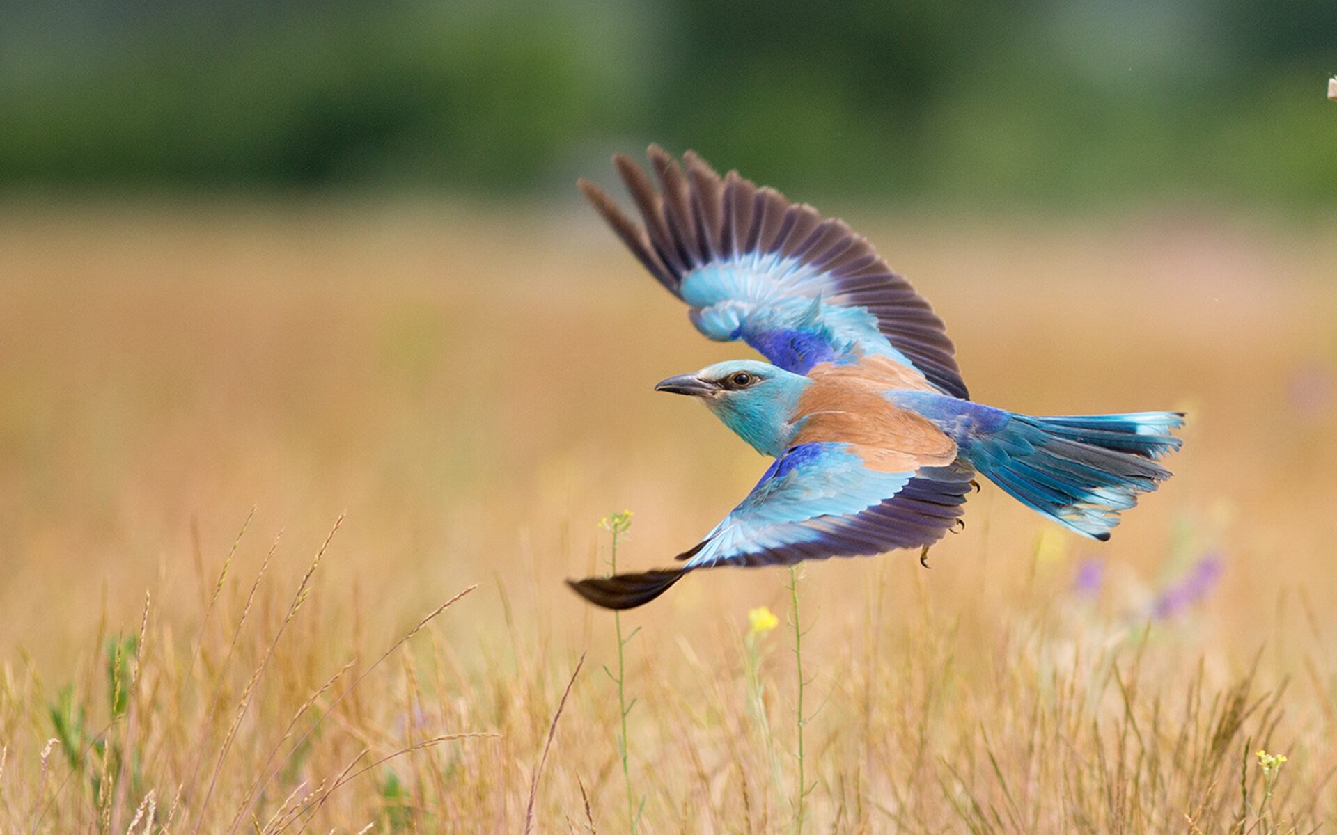 bsport-国家队整体实力提升进展缓慢，请问一下国家队