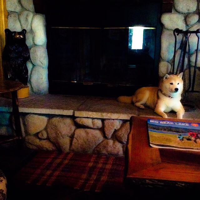 弗拉门戈锋线状态火热,多点开花,弗拉门戈视频