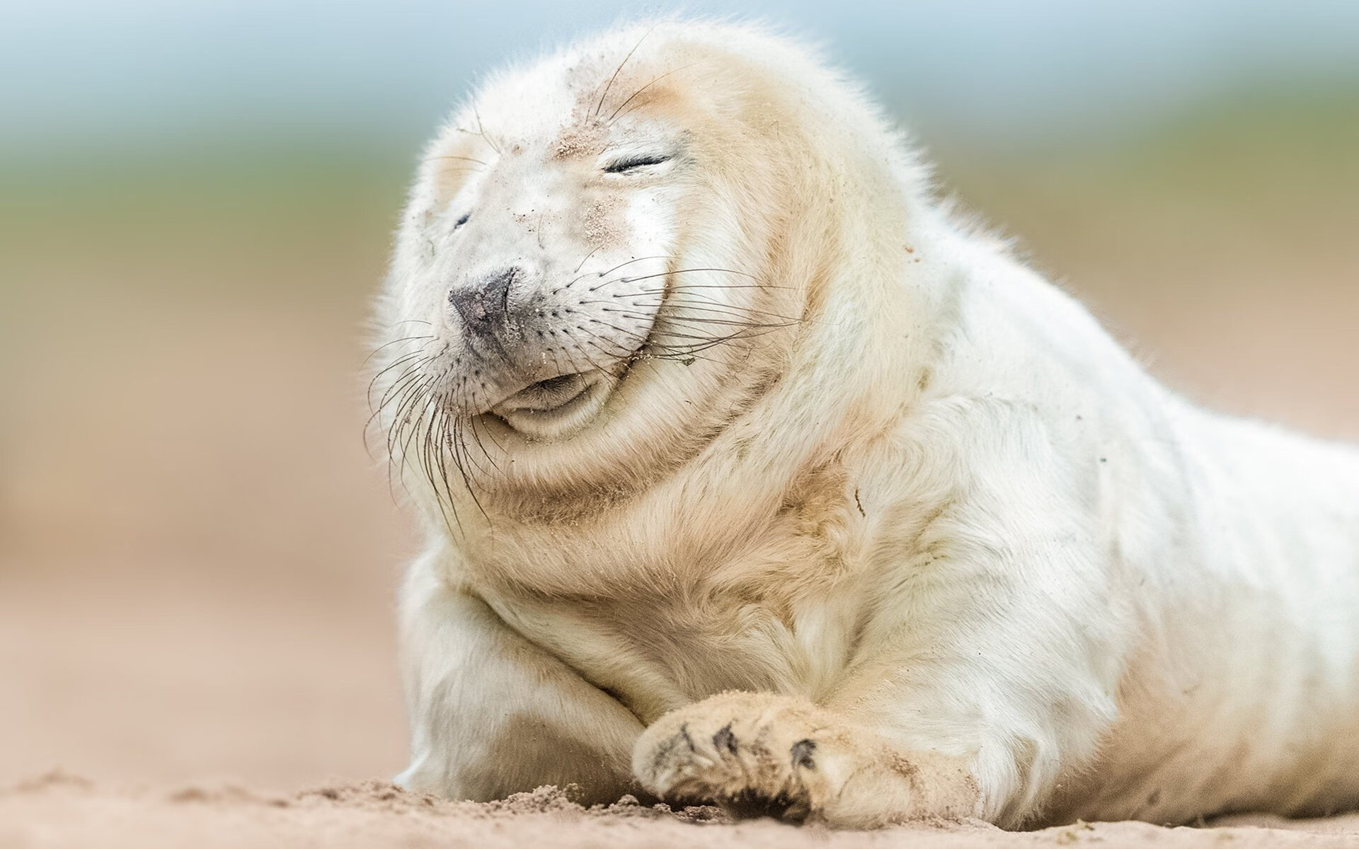 斯图加特前后联动提升推进稳定性，斯图加特0607