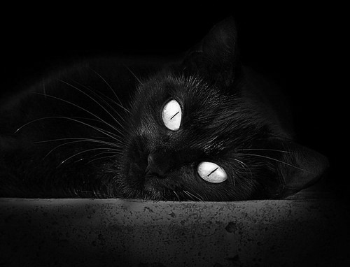 Bsports在线平台-足球教练战术复盘系统实现数据自动化整合，足球训练教练指导视频