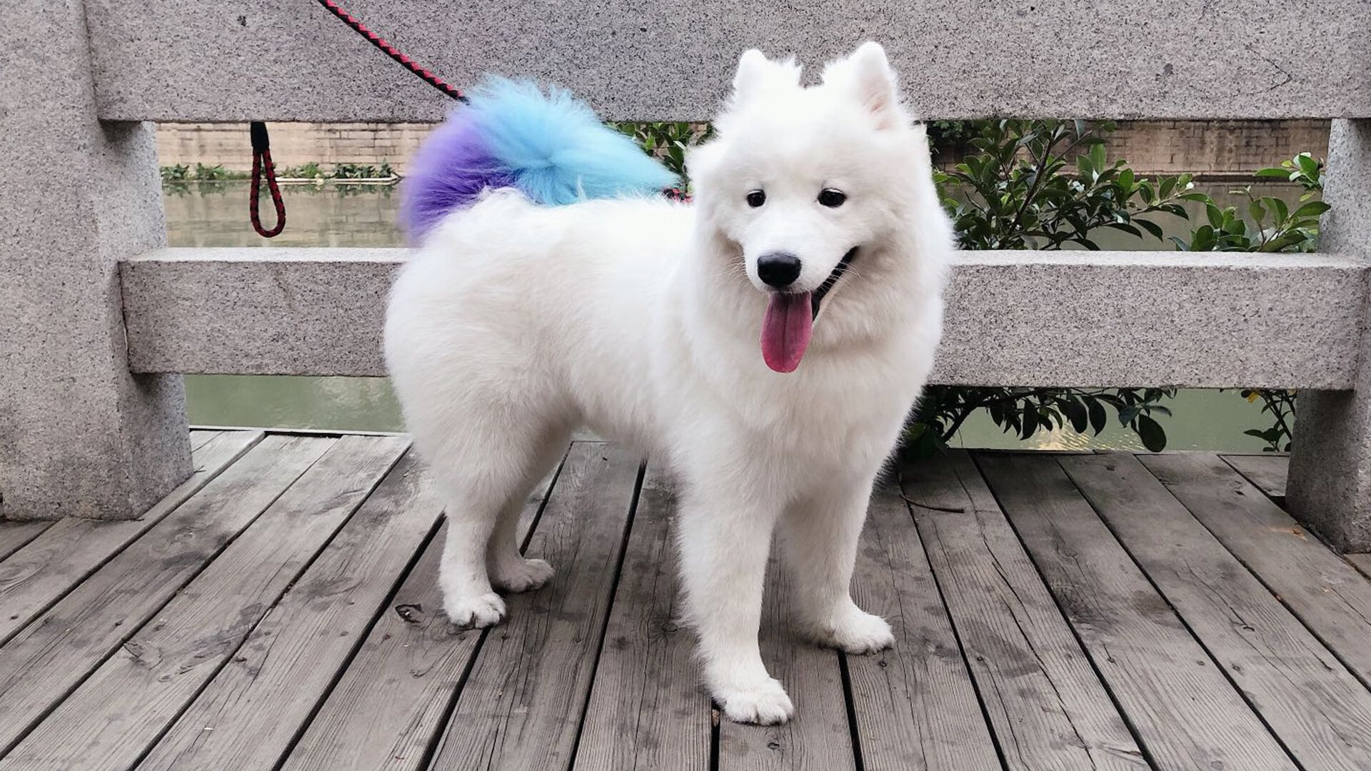 b体育网站注册-选手转会引发舆论风暴电竞自由市场愈发激烈，电竞选手转会是自己决定的吗