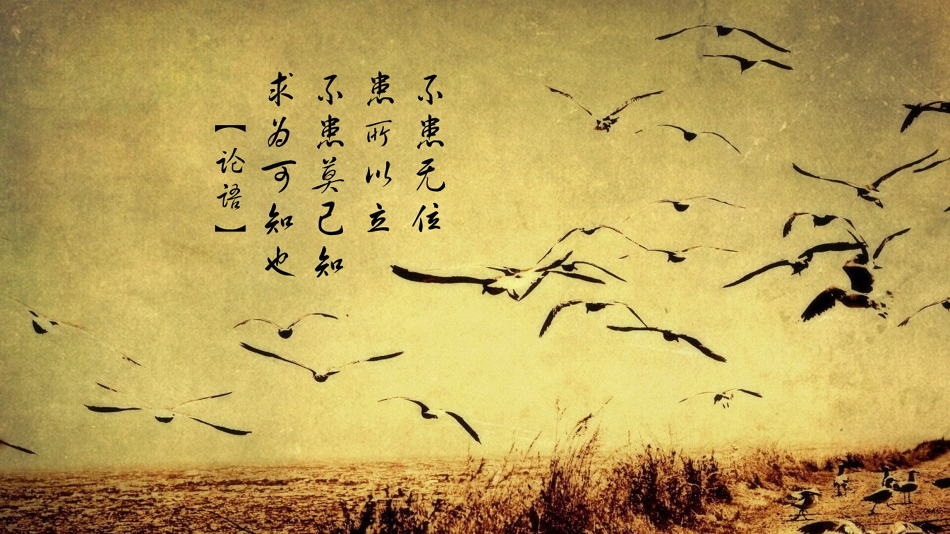 国王新赛季主题曲由知名艺人特别制作,国王新赛季球衣