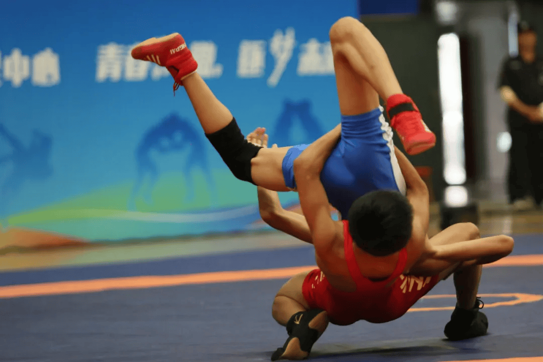 bsports体育:摔跤世界杯，力量与技巧的较量的简单介绍