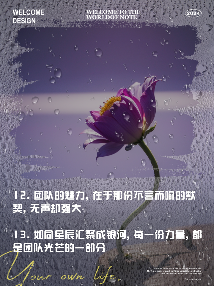 B体育中国官方平台-包含bsports体育:内部探讨：球队的团结与凝聚力关键的词条